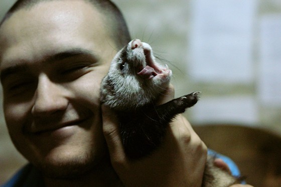 Фотографии: На открытом воздухе